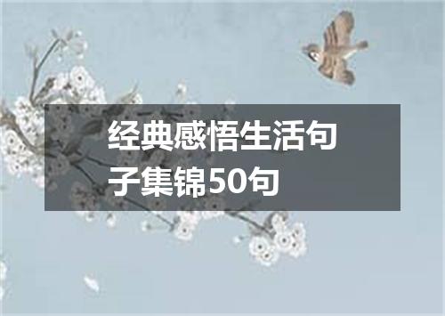经典感悟生活句子集锦50句