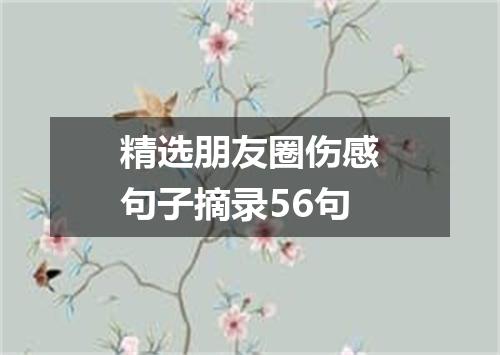 精选朋友圈伤感句子摘录56句