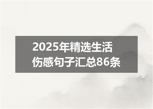 2025年精选生活伤感句子汇总86条