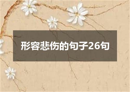 形容悲伤的句子26句