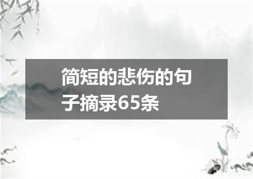 简短的悲伤的句子摘录65条