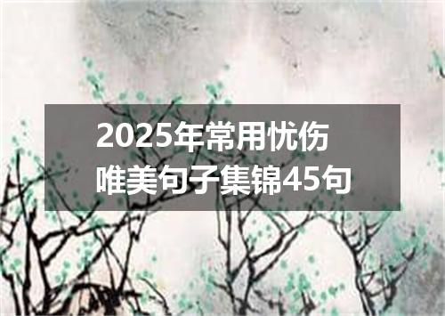 2025年常用忧伤唯美句子集锦45句