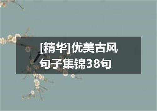 [精华]优美古风句子集锦38句