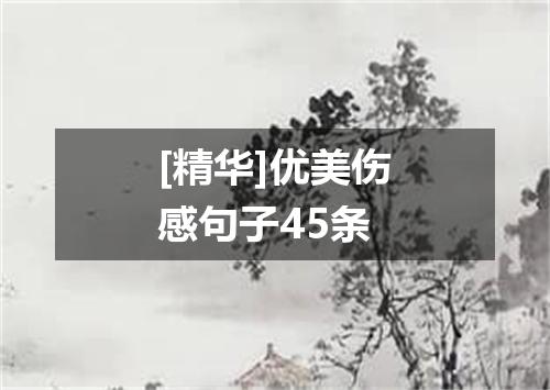 [精华]优美伤感句子45条