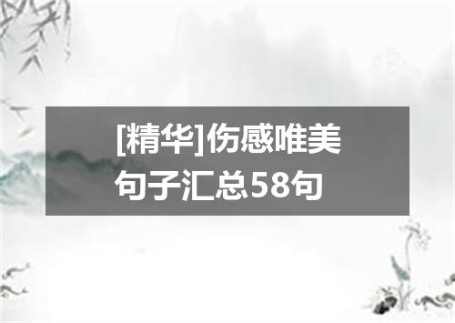 [精华]伤感唯美句子汇总58句