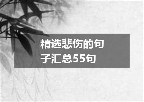 精选悲伤的句子汇总55句