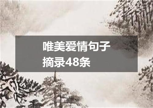 唯美爱情句子摘录48条