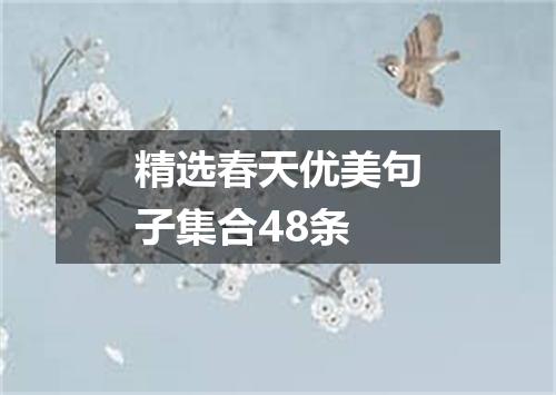 精选春天优美句子集合48条