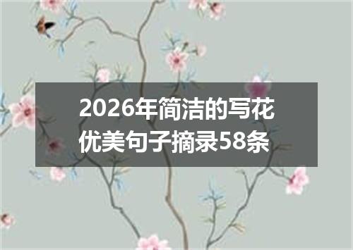2026年简洁的写花优美句子摘录58条