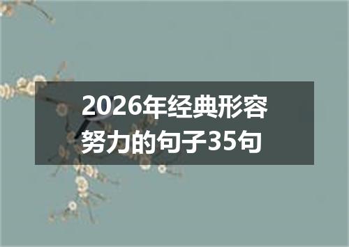 2026年经典形容努力的句子35句