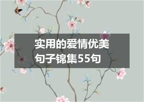 实用的爱情优美句子锦集55句