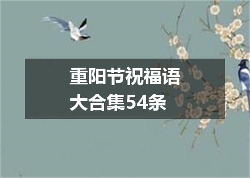 重阳节祝福语大合集54条