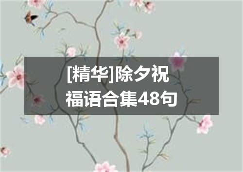 [精华]除夕祝福语合集48句