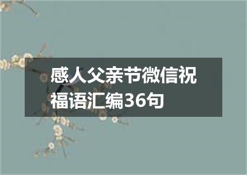 感人父亲节微信祝福语汇编36句
