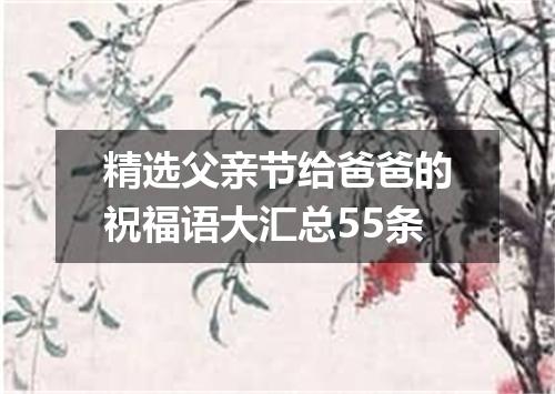 精选父亲节给爸爸的祝福语大汇总55条