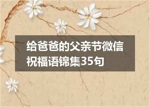 给爸爸的父亲节微信祝福语锦集35句