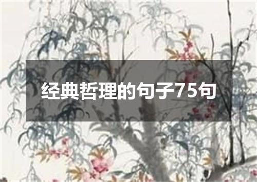 经典哲理的句子75句