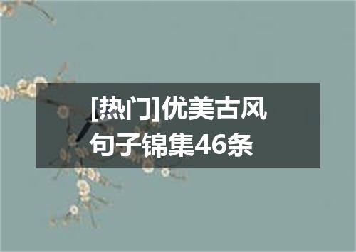 [热门]优美古风句子锦集46条