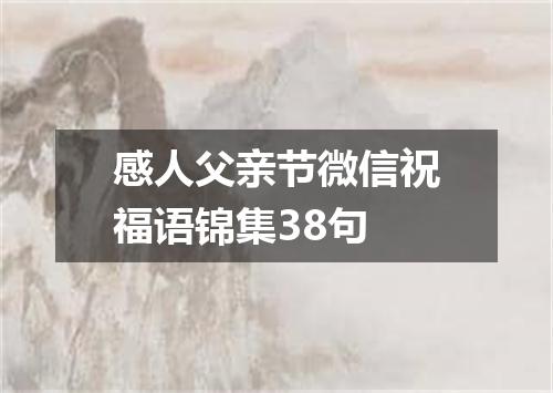 感人父亲节微信祝福语锦集38句