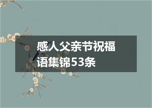 感人父亲节祝福语集锦53条