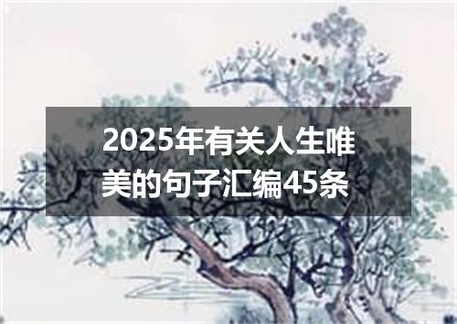 2025年有关人生唯美的句子汇编45条
