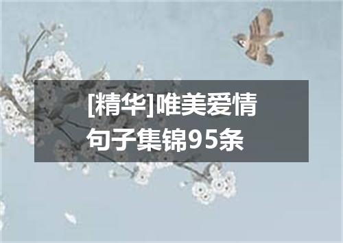 [精华]唯美爱情句子集锦95条