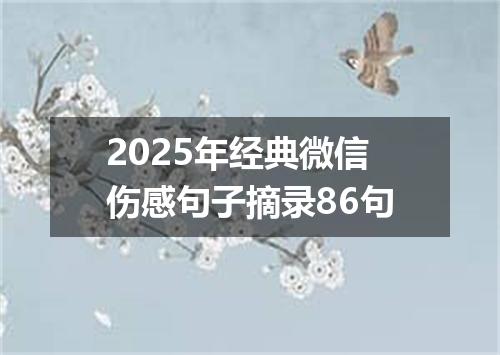 2025年经典微信伤感句子摘录86句