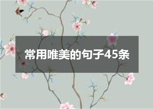 常用唯美的句子45条