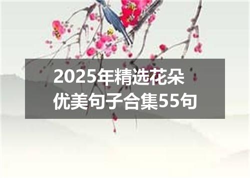 2025年精选花朵优美句子合集55句