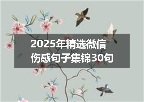 2025年精选微信伤感句子集锦30句