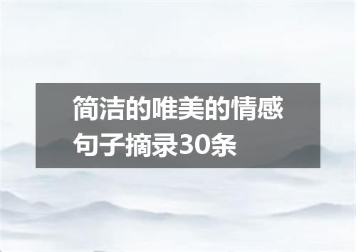 简洁的唯美的情感句子摘录30条