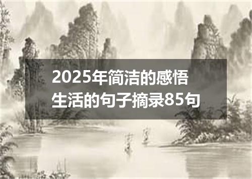 2025年简洁的感悟生活的句子摘录85句