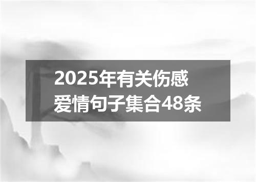 2025年有关伤感爱情句子集合48条