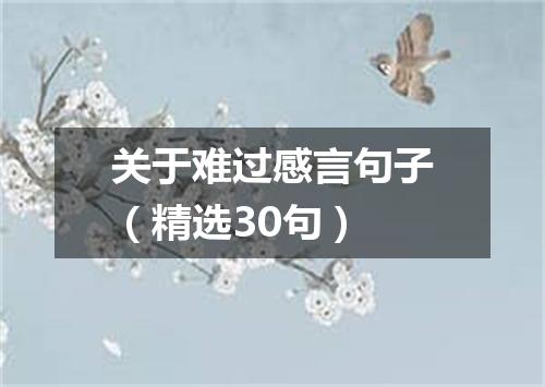 关于难过感言句子（精选30句）