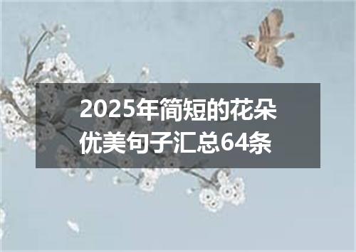2025年简短的花朵优美句子汇总64条