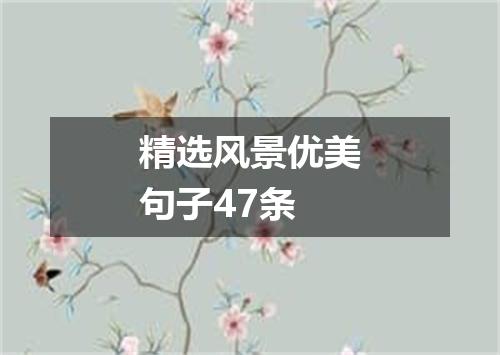 精选风景优美句子47条