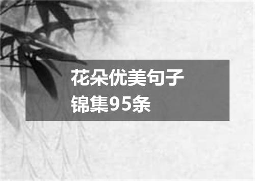 花朵优美句子锦集95条