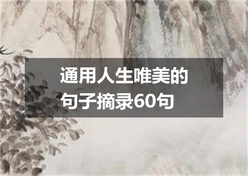 通用人生唯美的句子摘录60句