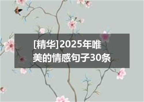 [精华]2025年唯美的情感句子30条