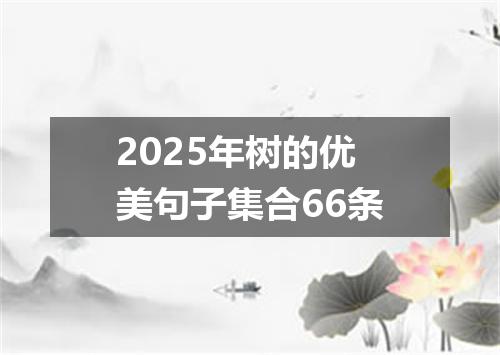 2025年树的优美句子集合66条