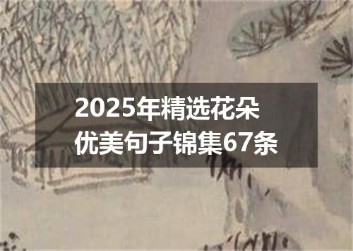 2025年精选花朵优美句子锦集67条