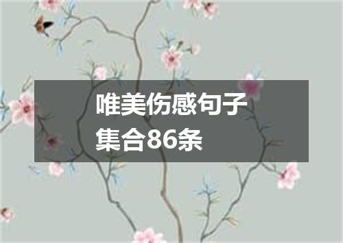唯美伤感句子集合86条