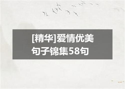 [精华]爱情优美句子锦集58句
