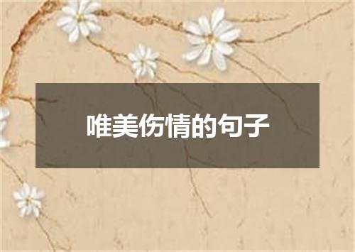 唯美伤情的句子