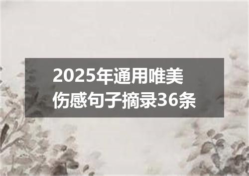 2025年通用唯美伤感句子摘录36条