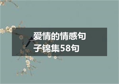 爱情的情感句子锦集58句