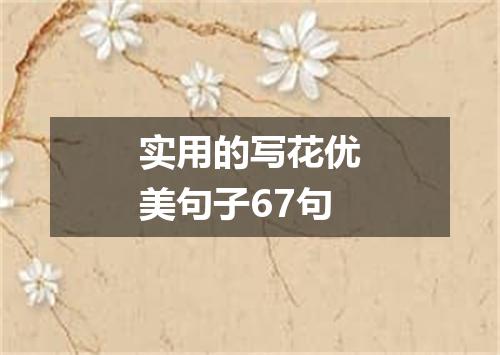 实用的写花优美句子67句