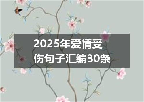 2025年爱情受伤句子汇编30条