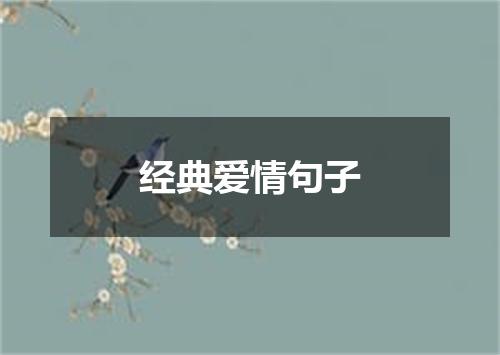 经典爱情句子