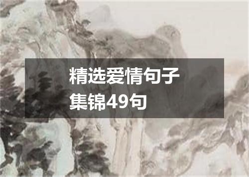 精选爱情句子集锦49句